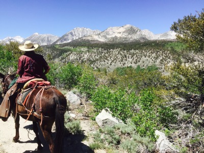 Horse Drive