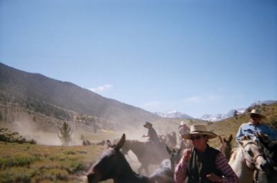 Horse Drive