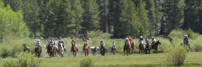 Horse Drive