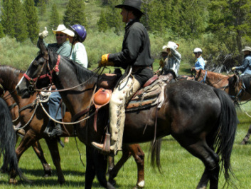 Horse Drive