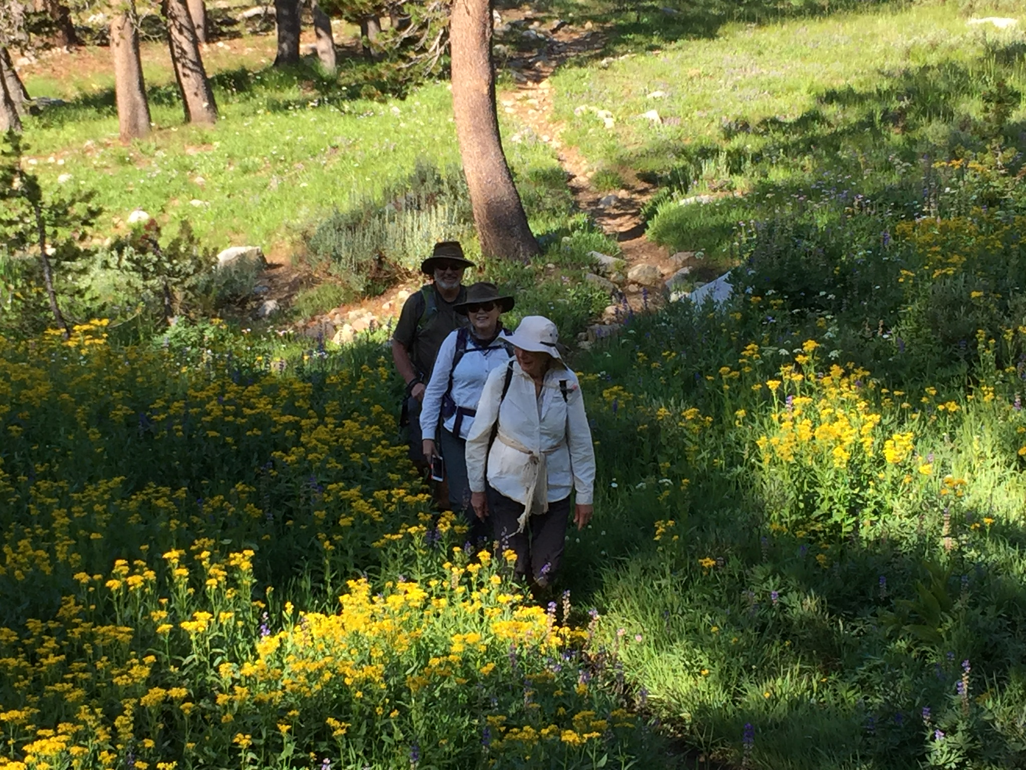 High Sierra Pack Trips; Horseback Riding; Mule Packing; John Muir Trail