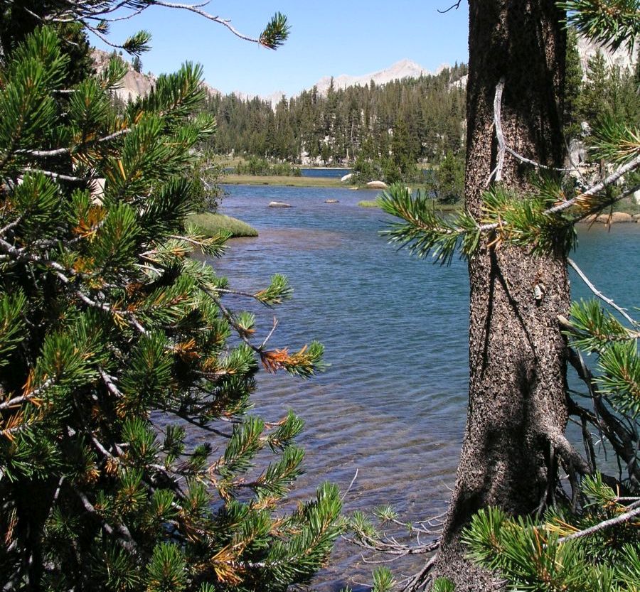 Miller Lake
