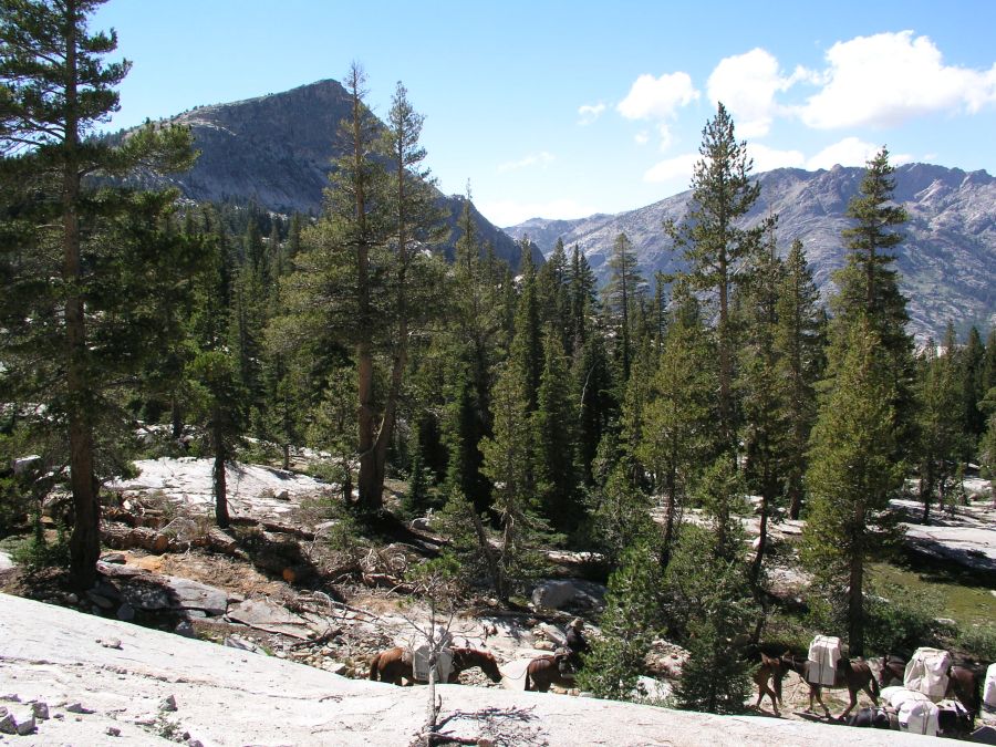 High Sierra Pack Trips; Horseback Riding; Mule Packing; John Muir Trail